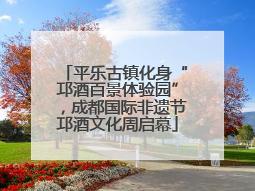 平乐古镇化身“邛酒百景体验园”，成都国际非遗节邛酒文化周启幕