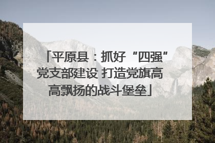 平原县：抓好“四强”党支部建设 打造党旗高高飘扬的战斗堡垒