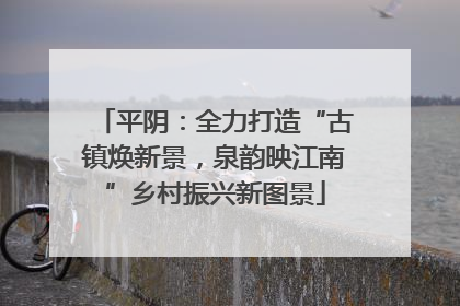 平阴：全力打造“古镇焕新景，泉韵映江南”乡村振兴新图景