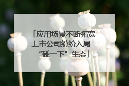 应用场景不断拓宽 上市公司纷纷入局“碰一下”生态