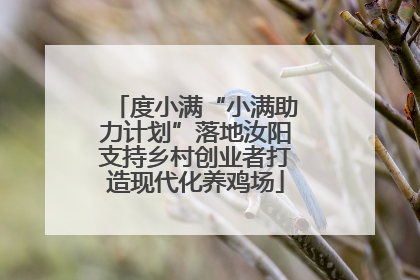 度小满“小满助力计划”落地汝阳支持乡村创业者打造现代化养鸡场
