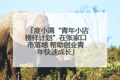 度小满“青年小店榜样计划”在张家口市落地 帮助创业青年快速成长