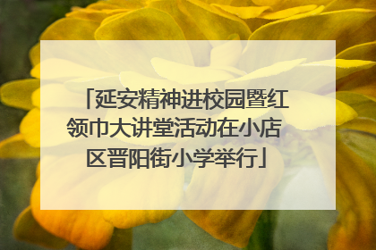 延安精神进校园暨红领巾大讲堂活动在小店区晋阳街小学举行