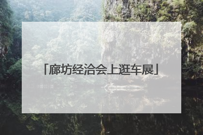 廊坊经洽会上逛车展