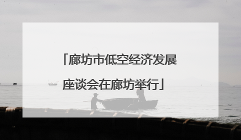 廊坊市低空经济发展座谈会在廊坊举行