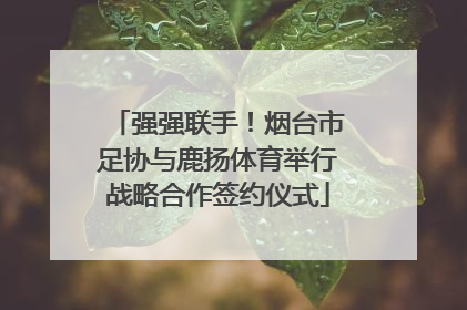 强强联手！烟台市足协与鹿扬体育举行战略合作签约仪式