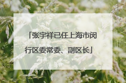 张宇祥已任上海市闵行区委常委、副区长