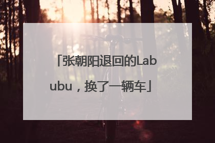 张朝阳退回的Labubu，换了一辆车