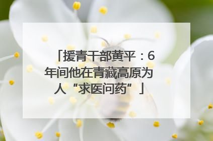 援青干部黄平：6年间他在青藏高原为人“求医问药”
