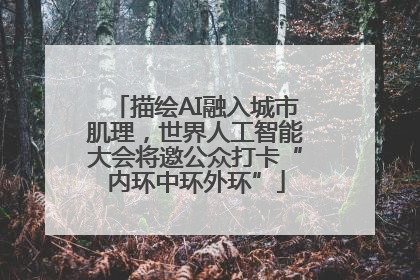 描绘AI融入城市肌理，世界人工智能大会将邀公众打卡“内环中环外环”