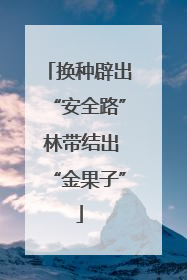 换种辟出“安全路” 林带结出“金果子”