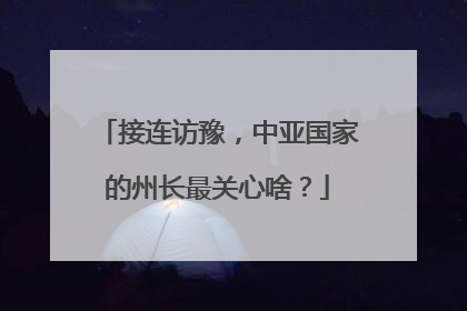 接连访豫,中亚国家的州长最关心啥?