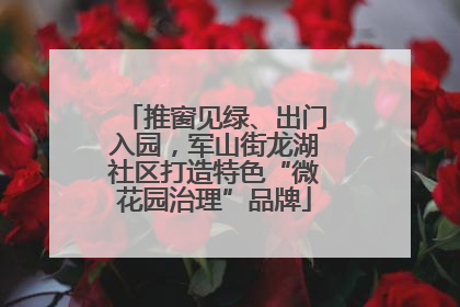 推窗见绿、出门入园，军山街龙湖社区打造特色“微花园治理”品牌