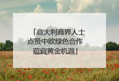 意大利商界人士点赞中欧绿色合作蕴藏黄金机遇