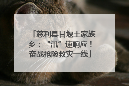 慈利县甘堰土家族乡：“汛”速响应！奋战抢险救灾一线