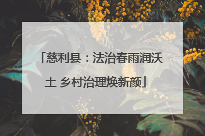 慈利县：法治春雨润沃土 乡村治理焕新颜