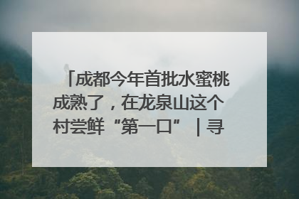 成都今年首批水蜜桃成熟了，在龙泉山这个村尝鲜“第一口”｜寻找和美乡村推荐官