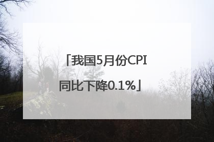 我国5月份CPI同比下降0.1%