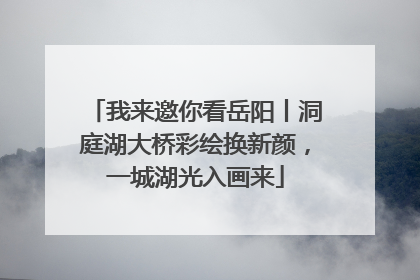 我来邀你看岳阳丨洞庭湖大桥彩绘换新颜，一城湖光入画来