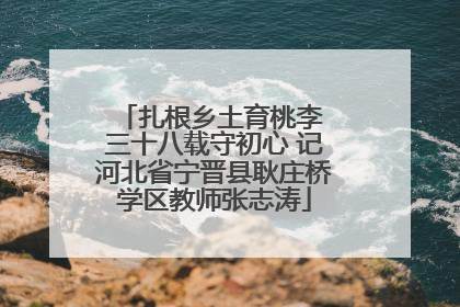 扎根乡土育桃李 三十八载守初心 记河北省宁晋县耿庄桥学区教师张志涛