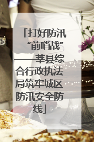 打好防汛“前哨战”——莘县综合行政执法局筑牢城区防汛安全防线