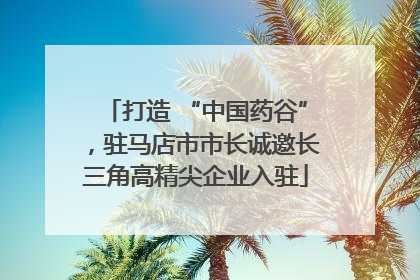 打造 “中国药谷”，驻马店市市长诚邀长三角高精尖企业入驻