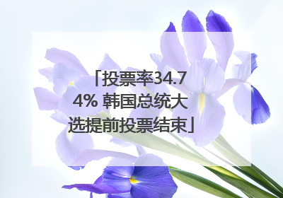 投票率34.74% 韩国总统大选提前投票结束