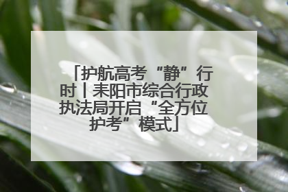 护航高考“静”行时丨耒阳市综合行政执法局开启“全方位护考”模式