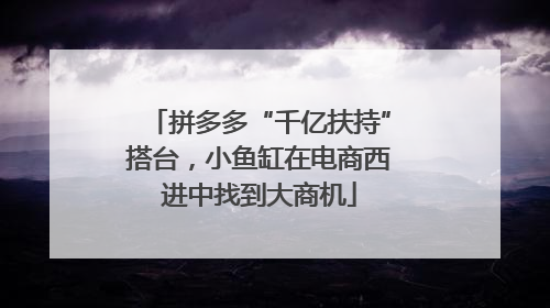 拼多多“千亿扶持”搭台，小鱼缸在电商西进中找到大商机