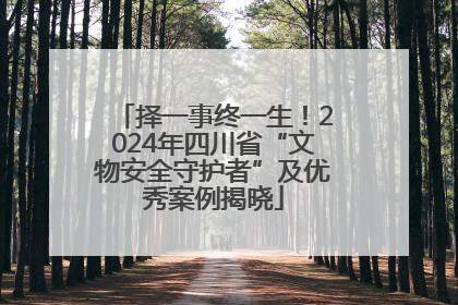 择一事终一生！2024年四川省“文物安全守护者”及优秀案例揭晓