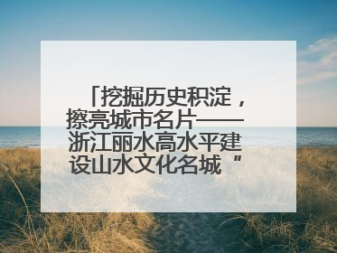 挖掘历史积淀，擦亮城市名片——浙江丽水高水平建设山水文化名城“闯出”创新之路