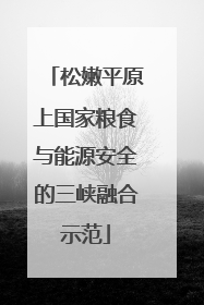松嫩平原上国家粮食与能源安全的三峡融合示范