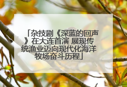 杂技剧《深蓝的回声》在大连首演 展现传统渔业迈向现代化海洋牧场奋斗历程