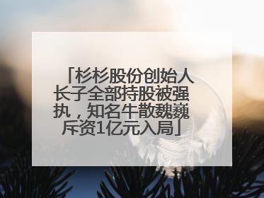 杉杉股份创始人长子全部持股被强执，知名牛散魏巍斥资1亿元入局