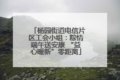 杨园街道电信片区工会小组：粽情端午送安康 “益心暖新”零距离