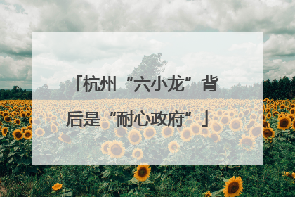 杭州“六小龙”背后是“耐心政府”
