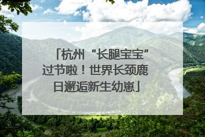 杭州“长腿宝宝”过节啦！世界长颈鹿日邂逅新生幼崽