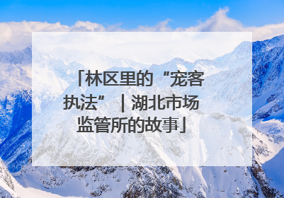 林区里的“宠客执法”｜湖北市场监管所的故事