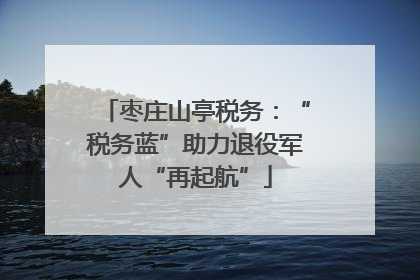 枣庄山亭税务：“税务蓝”助力退役军人“再起航”