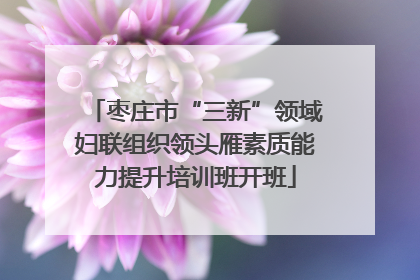 枣庄市“三新”领域妇联组织领头雁素质能力提升培训班开班