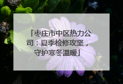 枣庄市中区热力公司：夏季检修攻坚，守护寒冬温暖