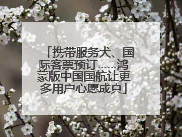 携带服务犬、国际客票预订……鸿蒙版中国国航让更多用户心愿成真