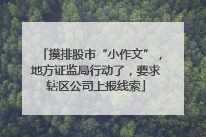 摸排股市“小作文”，地方证监局行动了，要求辖区公司上报线索