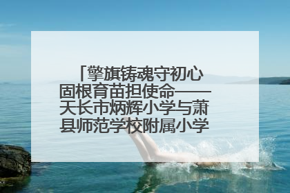 擎旗铸魂守初心 固根育苗担使命——天长市炳辉小学与萧县师范学校附属小学结对共建活动纪实