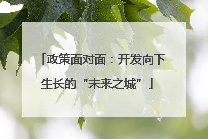 政策面对面：开发向下生长的“未来之城”