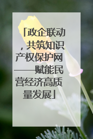 政企联动，共筑知识产权保护网——赋能民营经济高质量发展