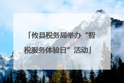 攸县税务局举办“智税服务体验日”活动