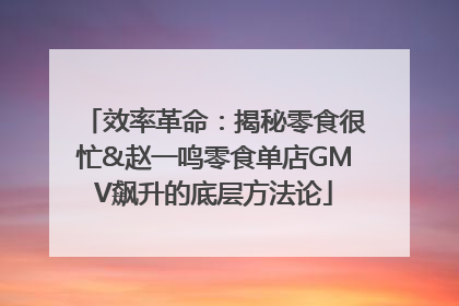 效率革命：揭秘零食很忙&赵一鸣零食单店GMV飙升的底层方法论