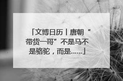 文博日历丨唐朝“带货一哥”不是马不是骆驼，而是……