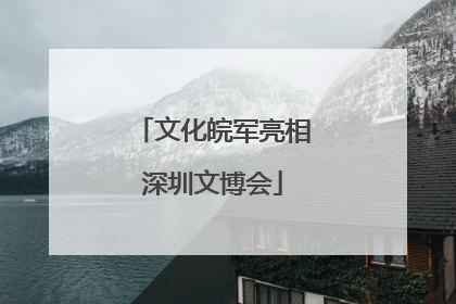 文化皖军亮相深圳文博会
